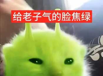 发点猫图