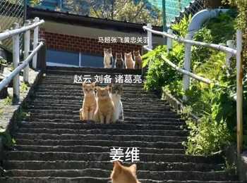 自用，已检测