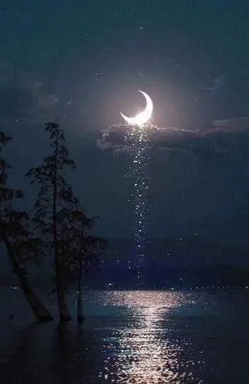 1000013204.webp