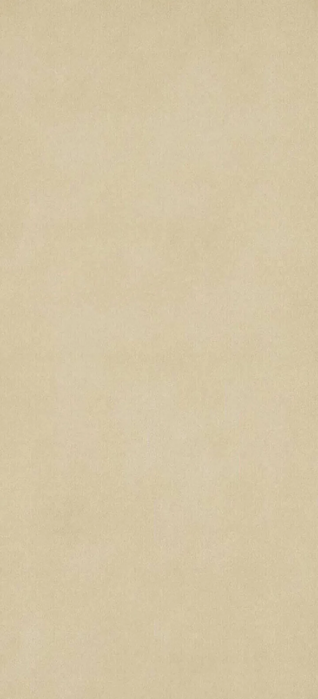 1000122127.webp