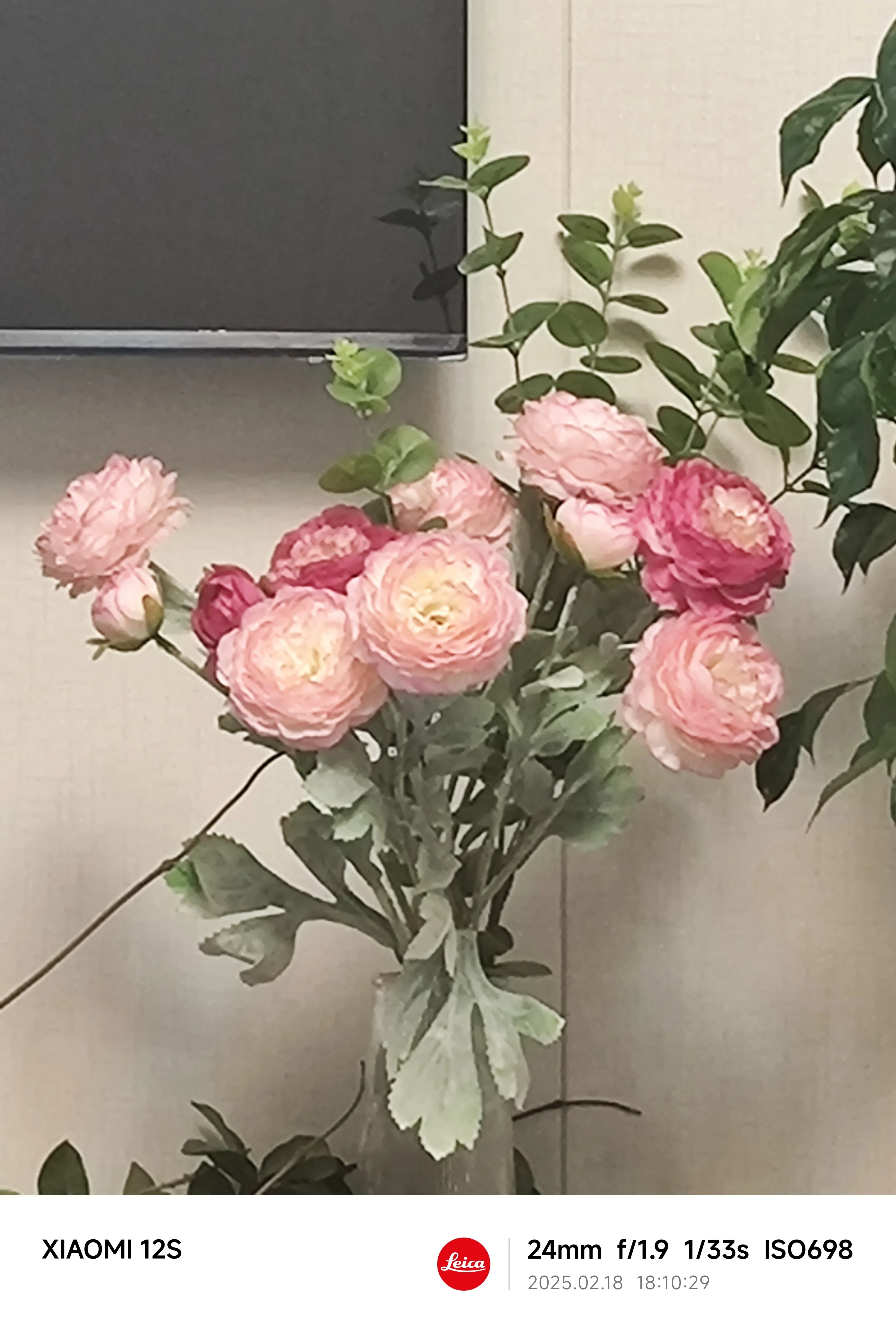 1000004257.webp