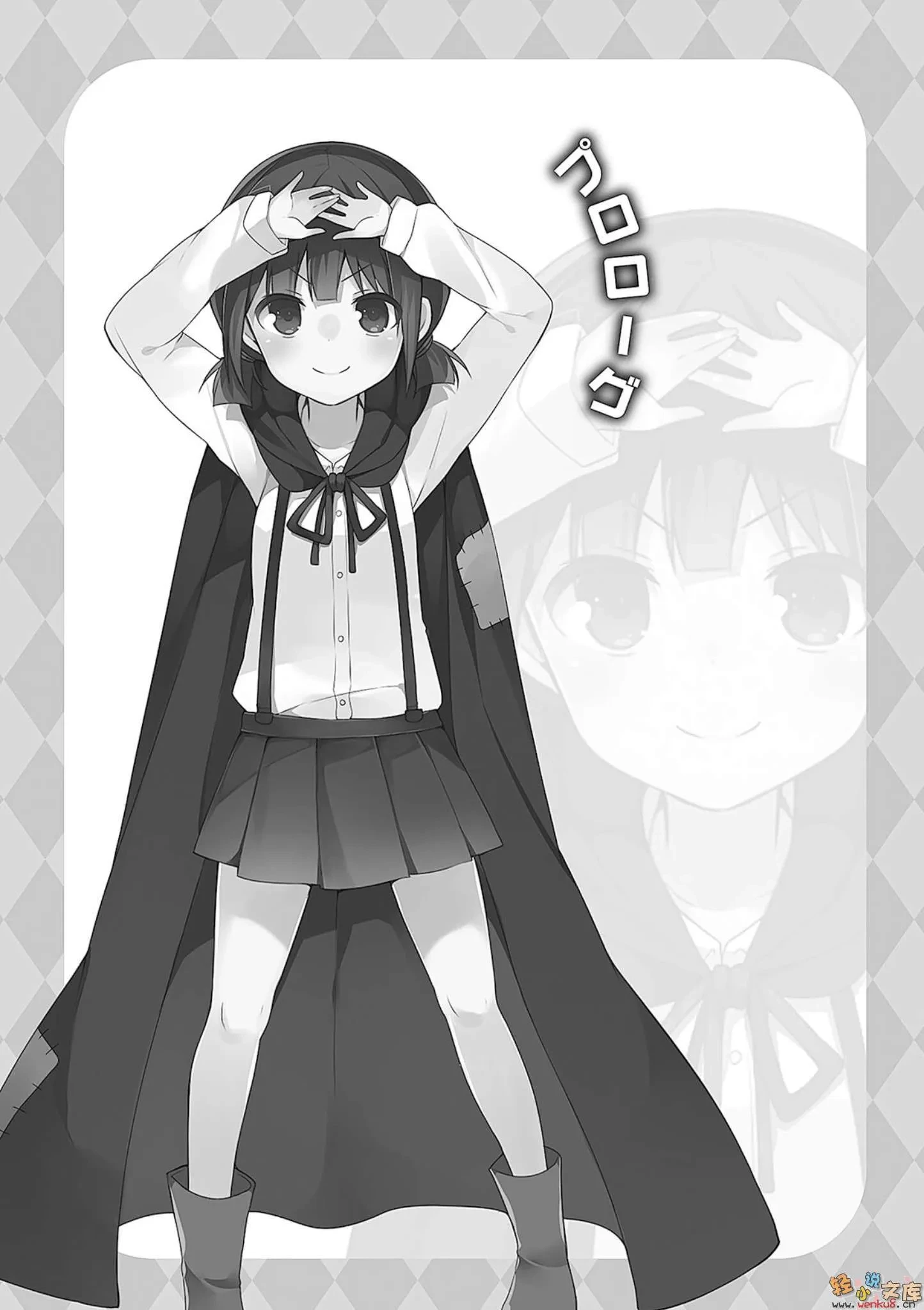 e2ccb26804e07c45.webp