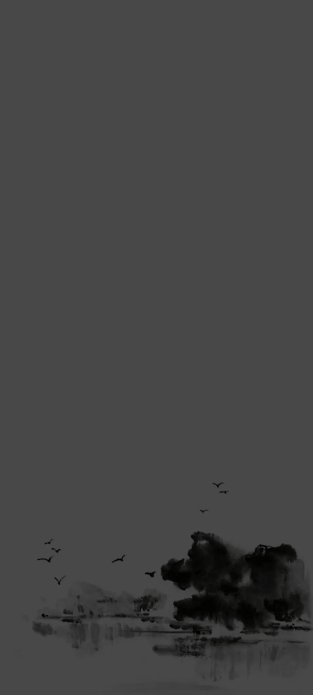 23353329_5d0da49b_8071_9008_812@1024x2275.webp