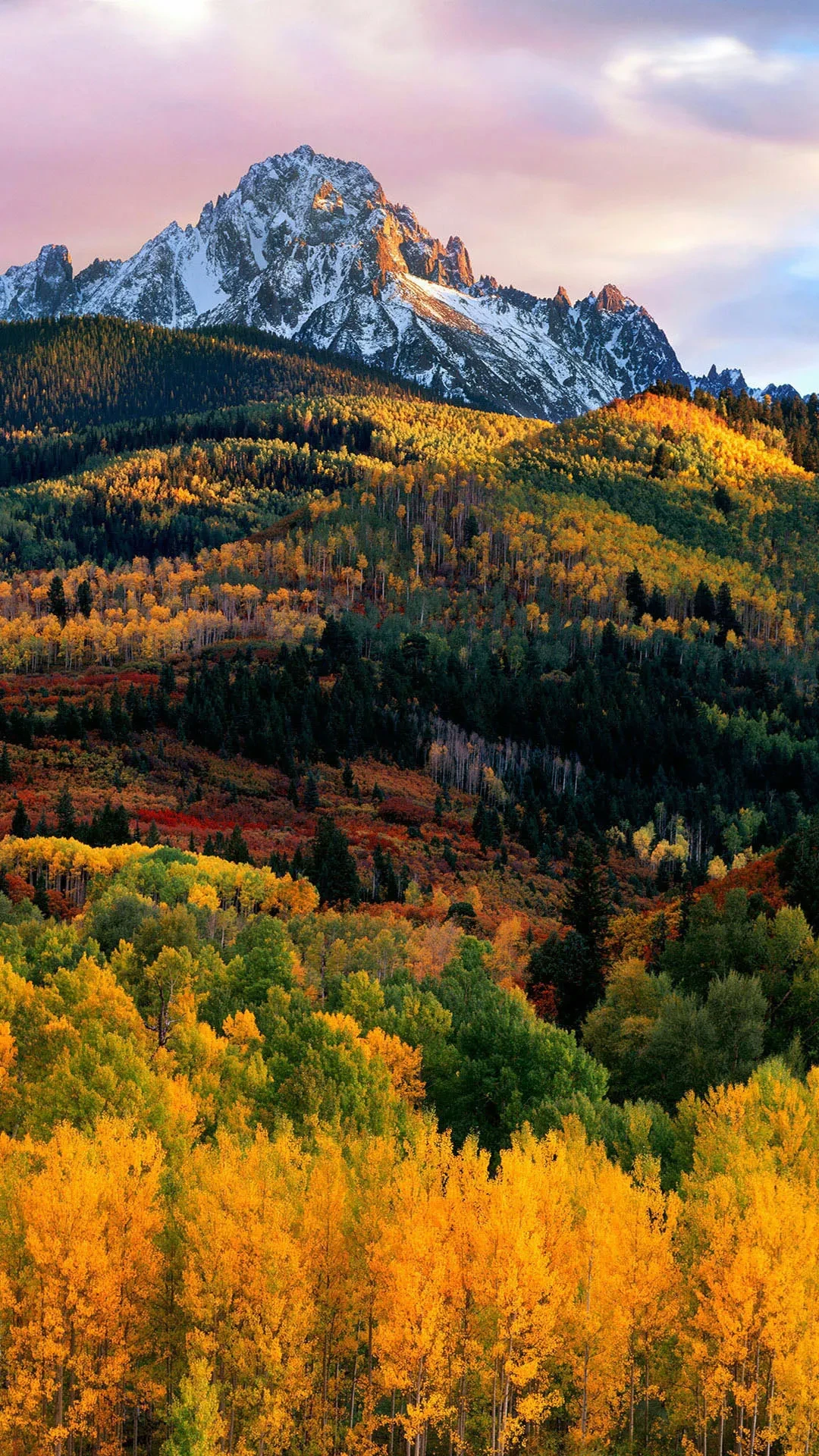 MagazinePic-01-2.3.001-bigpicture_01_7.webp