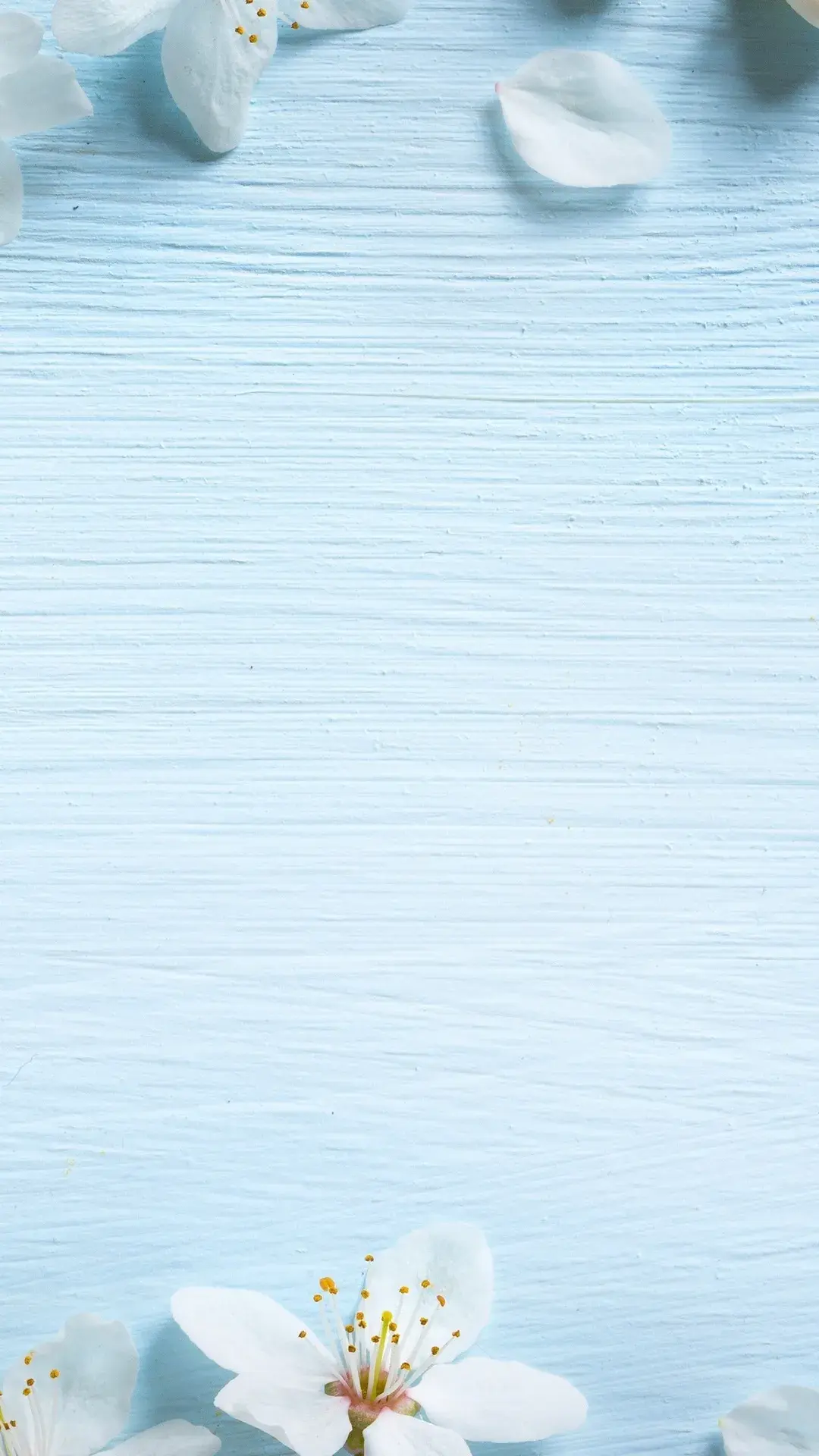 9d148186927ea1249b37a3d299938a55.webp