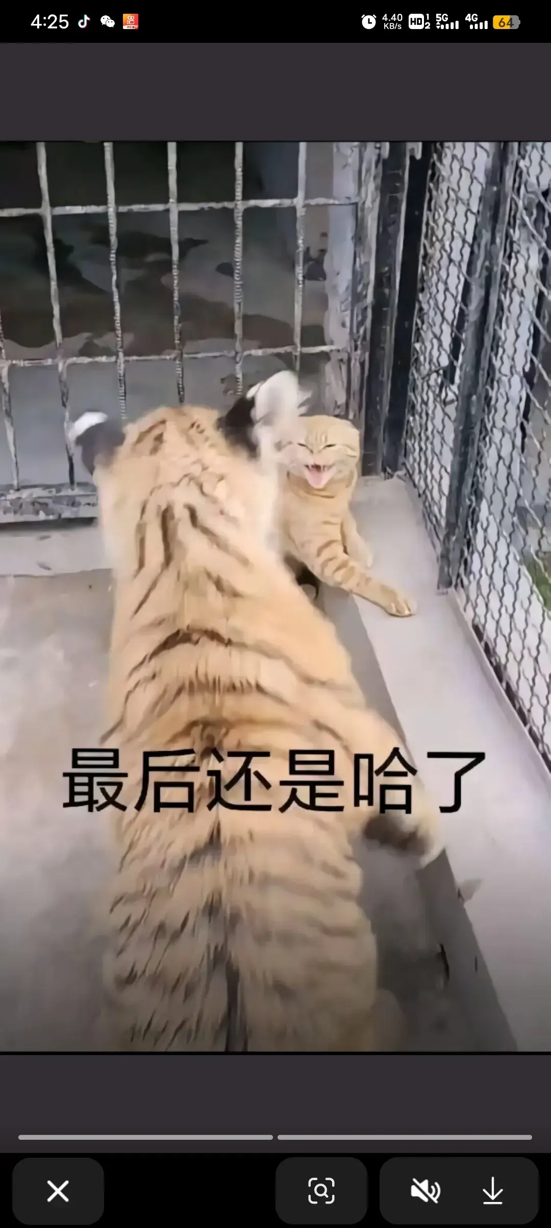 Screenshot_20250826_162543.webp