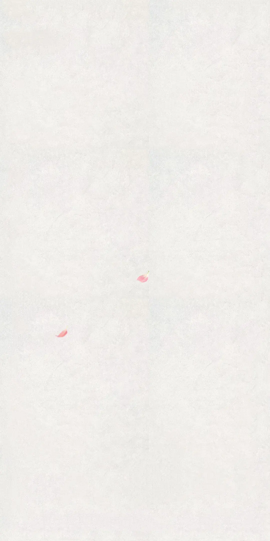 1000008166.webp