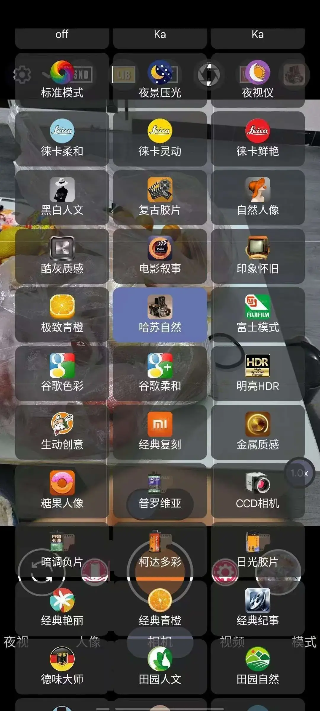 1000020208.webp
