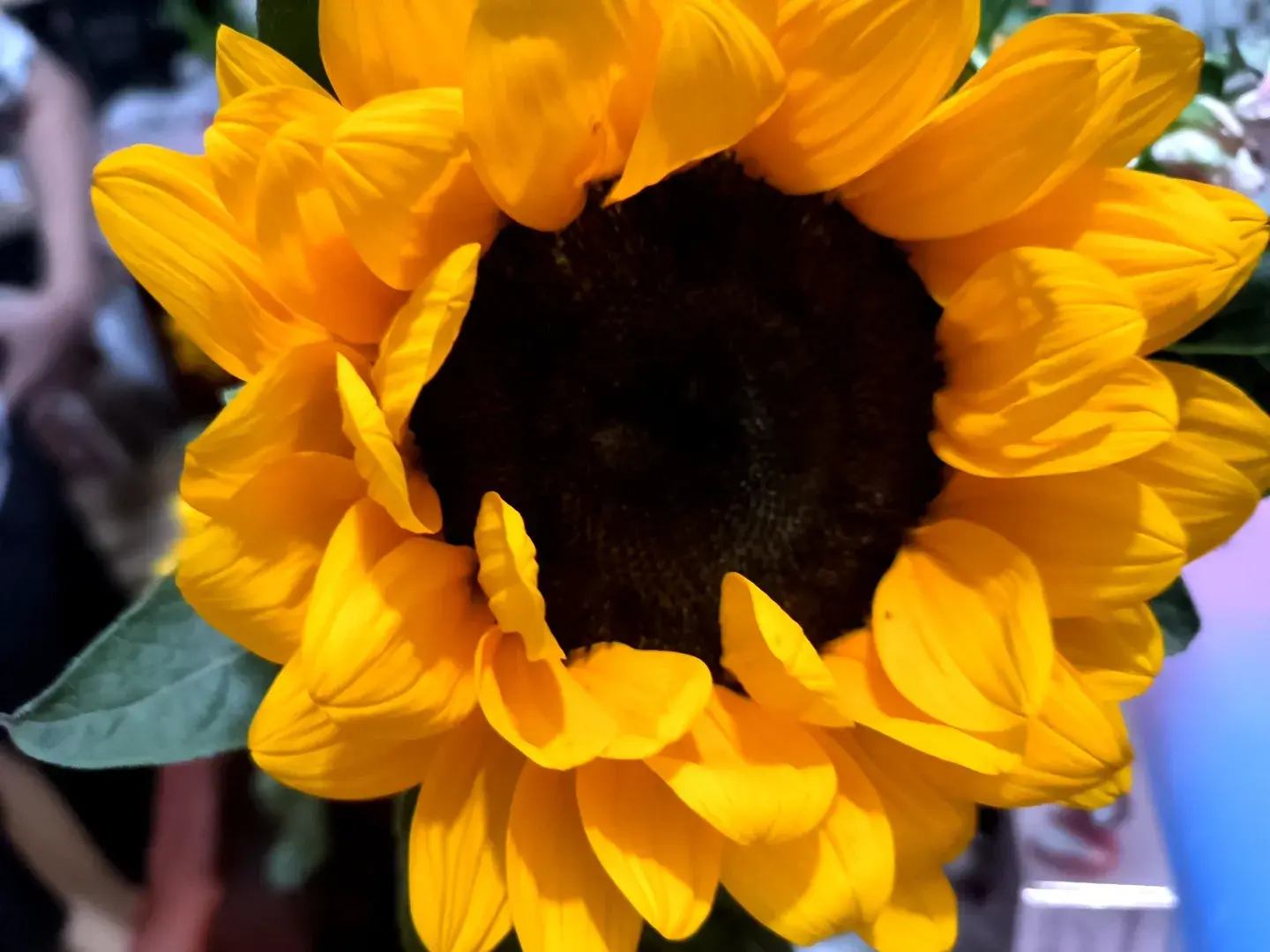 1000001481.webp