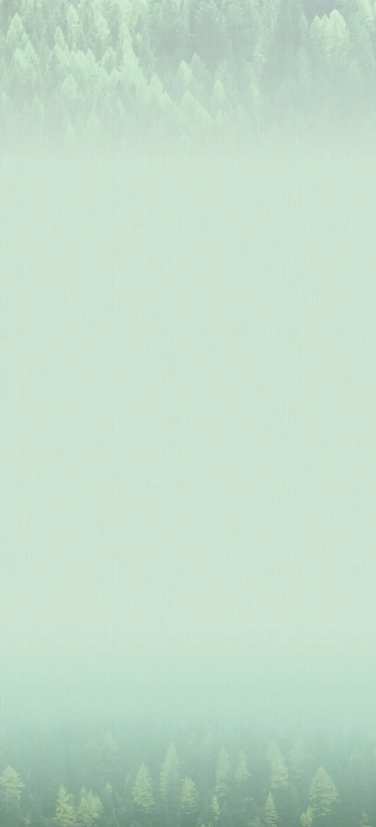 1000000457.webp