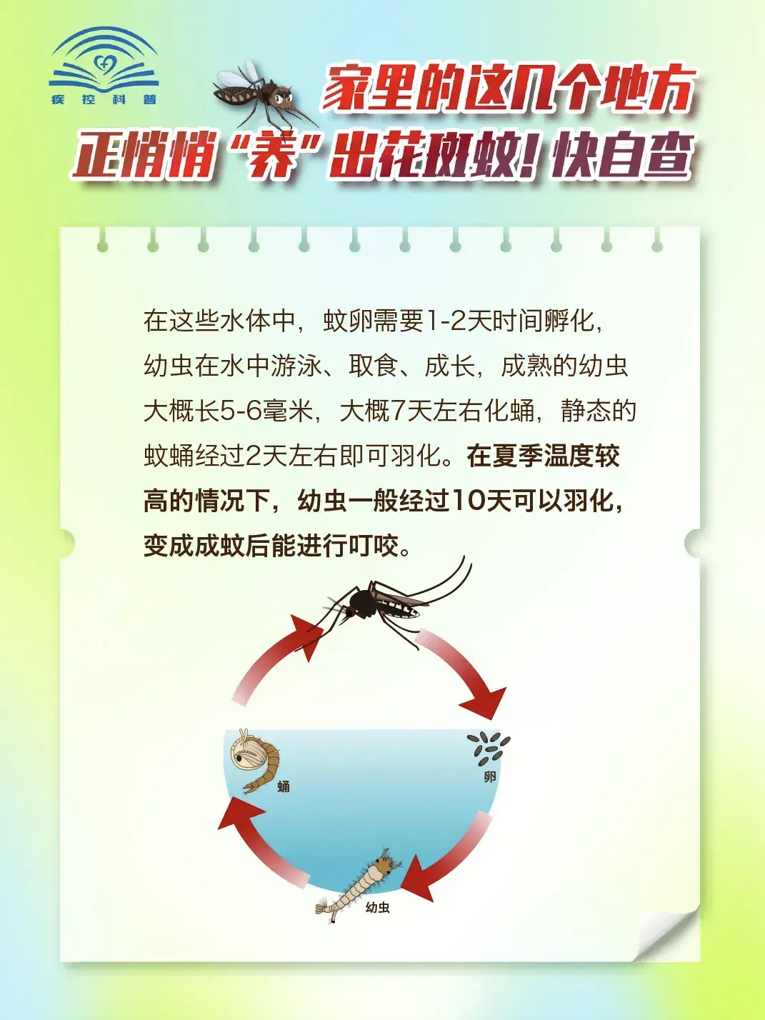 mmexport1756703208560.webp