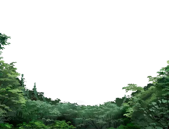 1001034940.webp