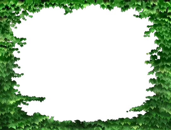 1001034943.webp