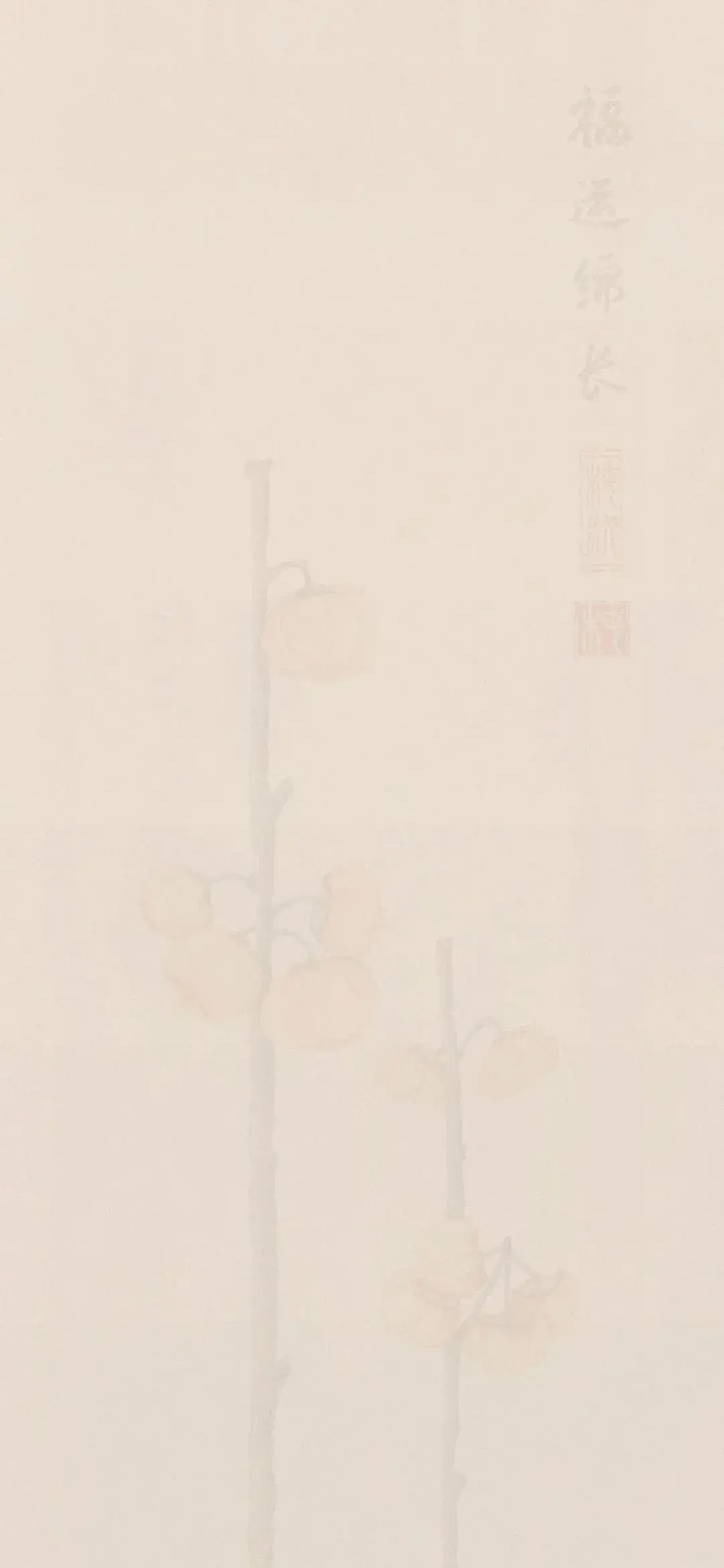 17564737850831.webp