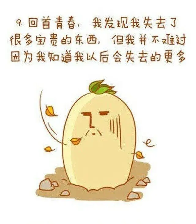 El_h-hpinryc4796267.webp