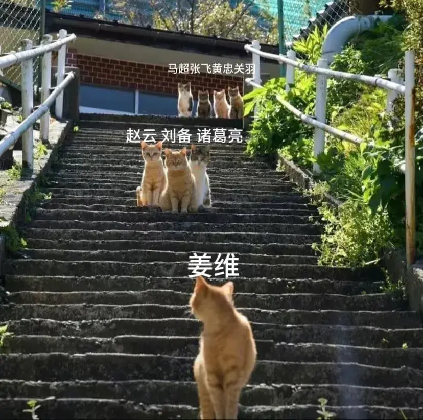 1755695618805.webp