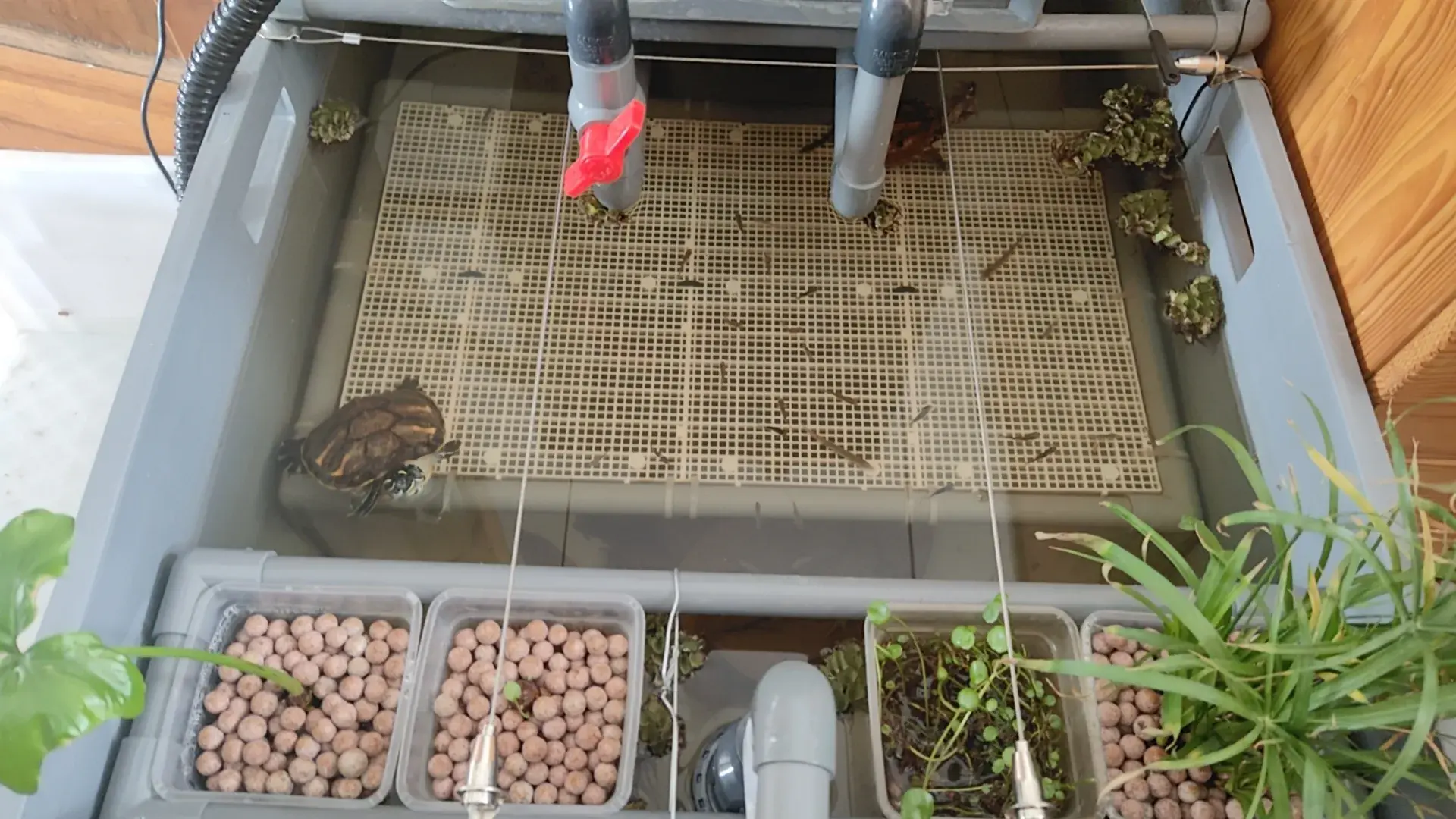 wx_camera_1757392010704.webp