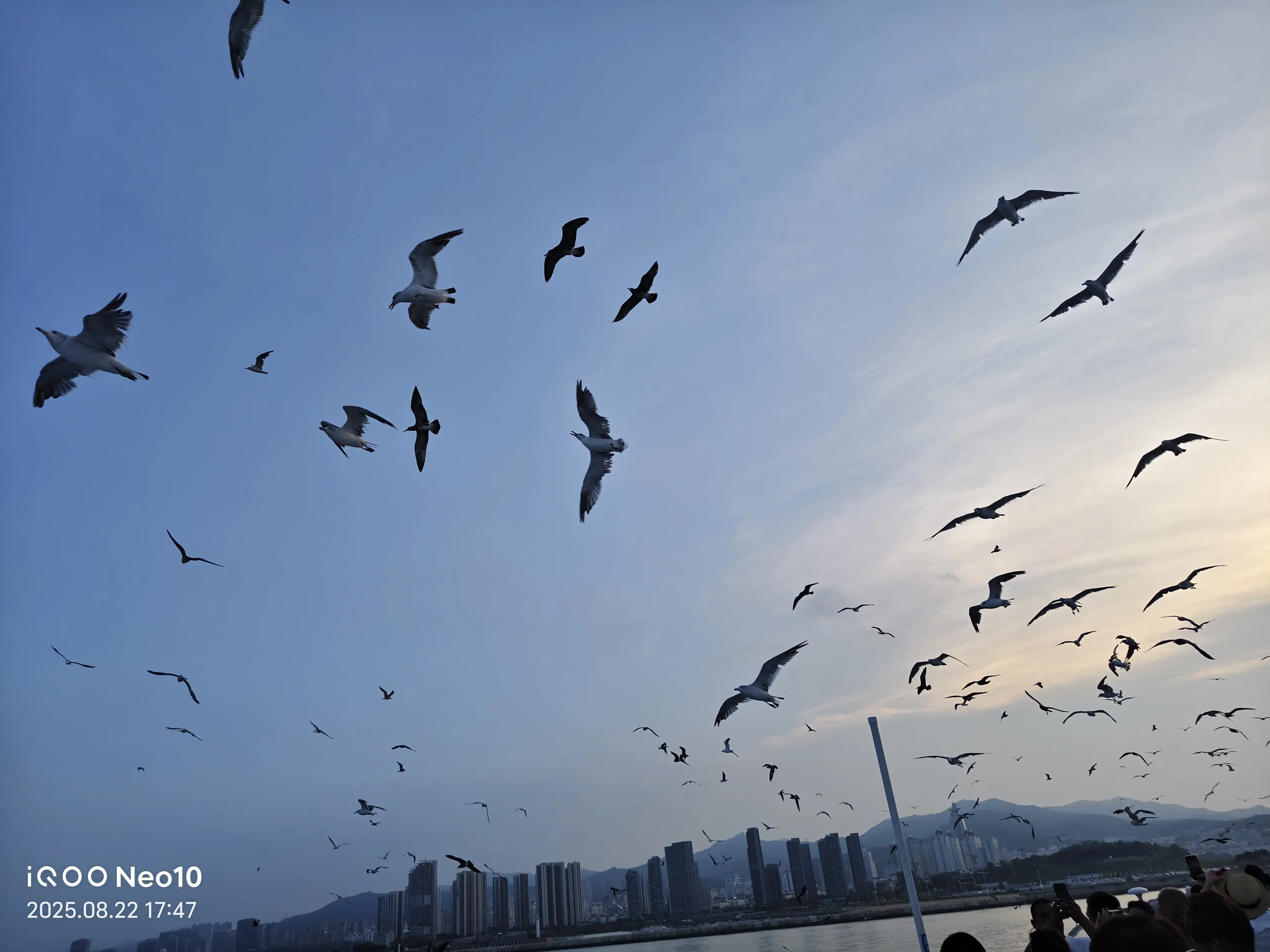 1000018708.webp