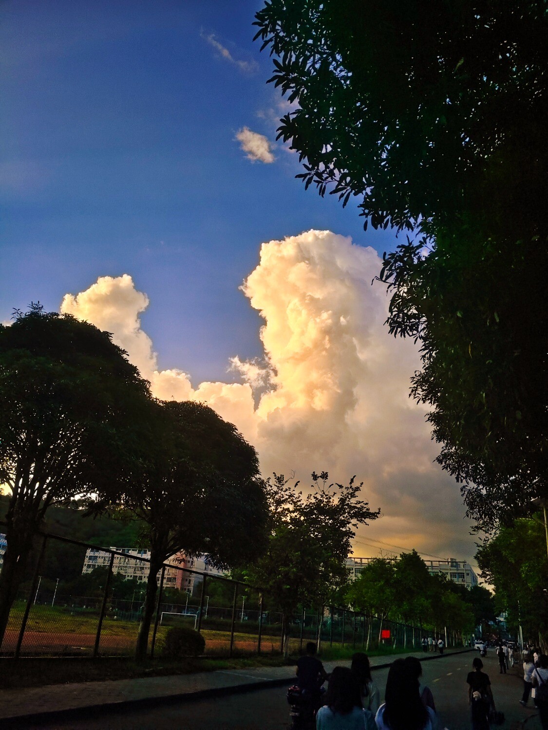 1000073516.jpg