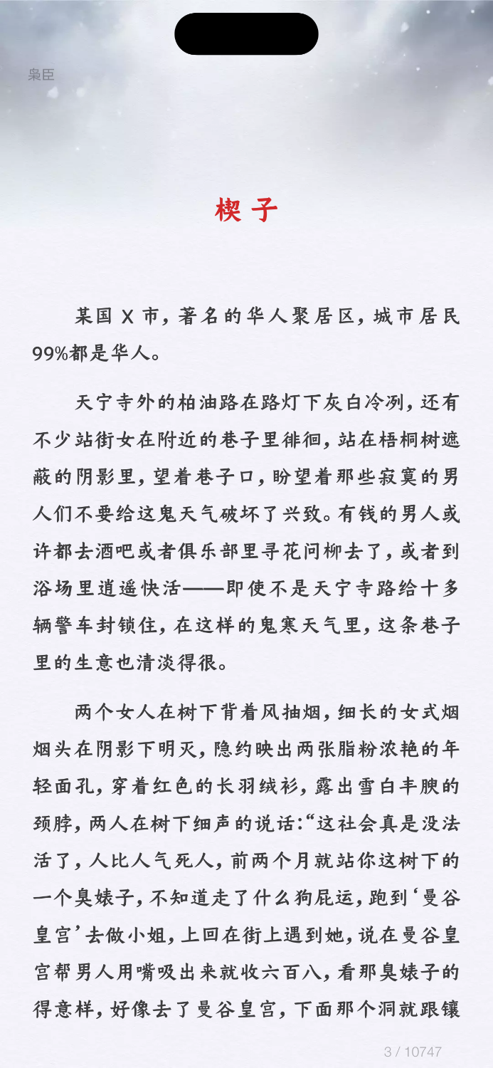 IMG_8082.png