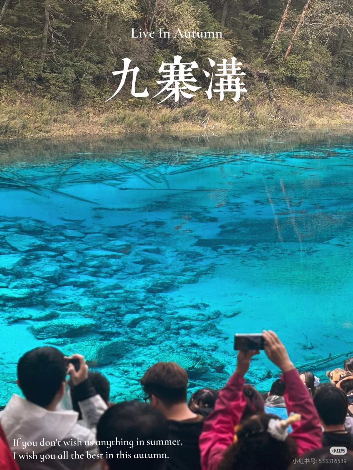 Camera_1040g3k031n11aue8lm2045024osouu9eia87u28.jpg
