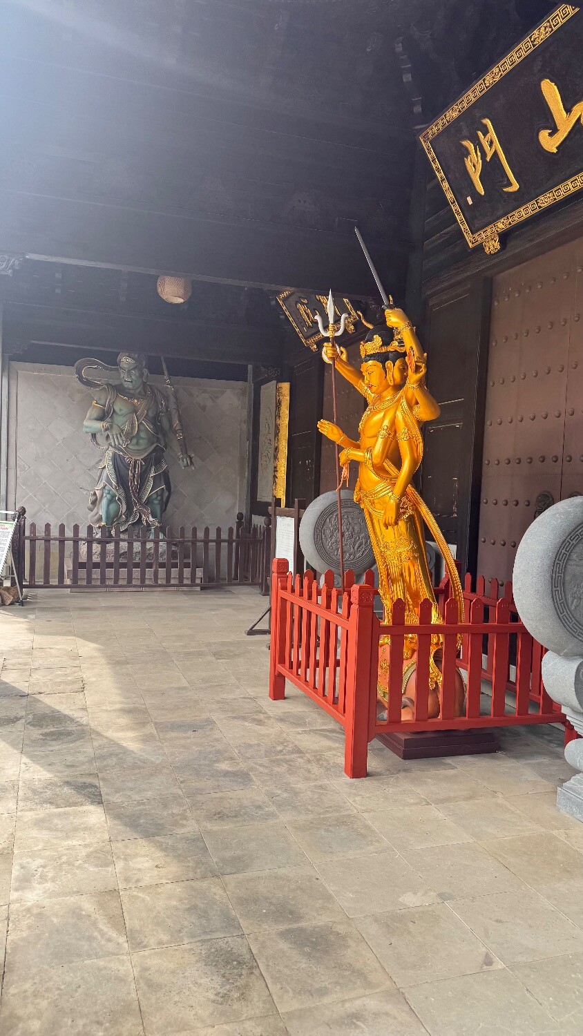 IMG_8102.jpeg