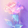 yunmnb